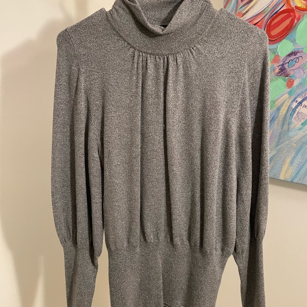 Express Silver Gray Cowl Turtleneck Sweater Soft Knit